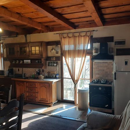 Cabana Belis Dealu Negru Εξωτερικό φωτογραφία