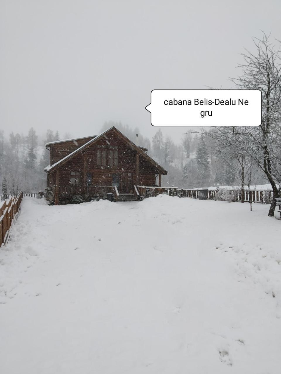 Cabana Belis Dealu Negru Εξωτερικό φωτογραφία